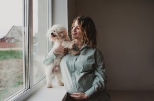 Безопасность и комфорт: окна VEKA для семей с детьми и домашними животными